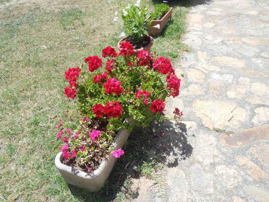 L' Incantu Alojamento de Acomodação e Pequeno-almoço Santa Teresa Gallura